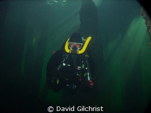 Diver using Vintage Double Hose Regulator at the Swing Br... by David Gilchrist 